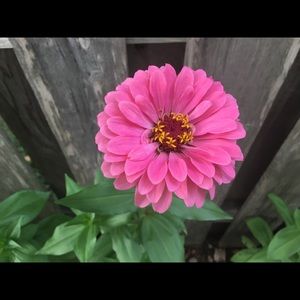 Meet your Posher, Jill